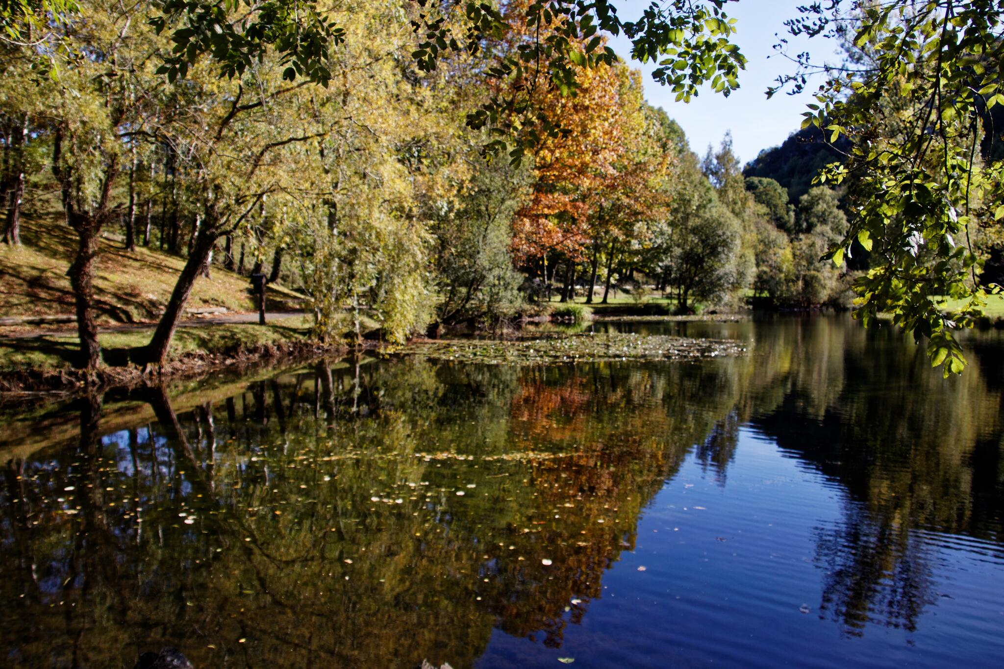 Miroir végétal au pied du Béout [Photo de Pascal Bronnec]