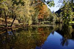 Miroir végétal au pied du Béout