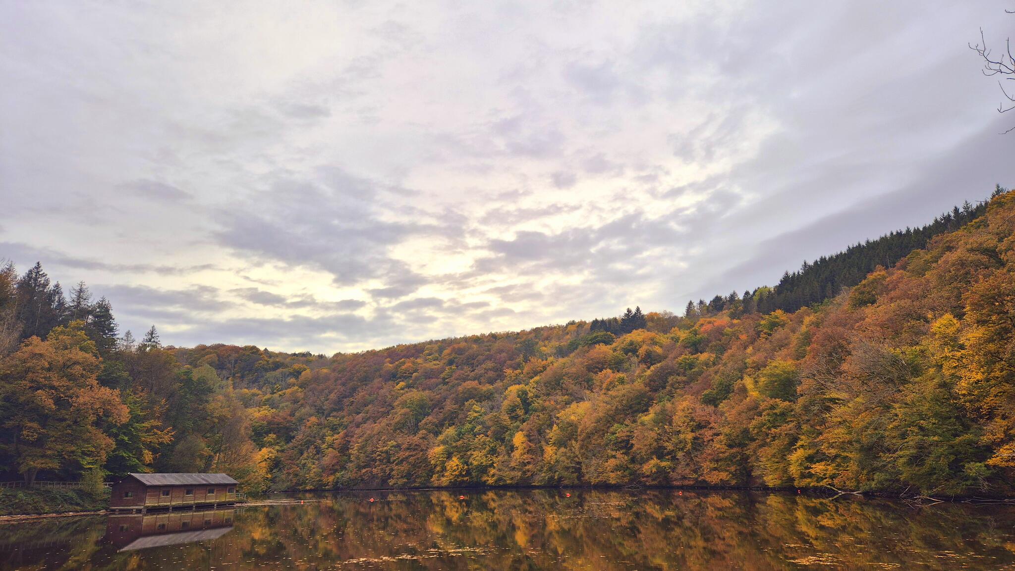 Lac de Nisramont [Photo de Michael Daveloose]