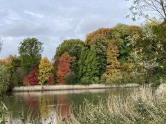 Automne au parc de Mariemont