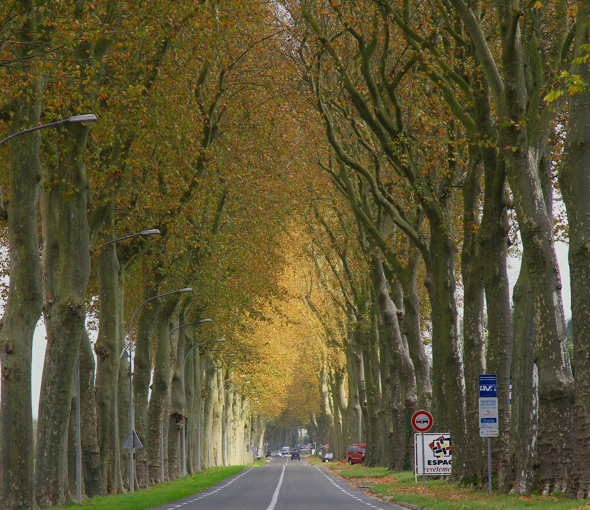 Sur la route du château [Photo de Daniele Deleglise]