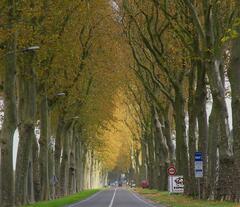 Sur la route du château