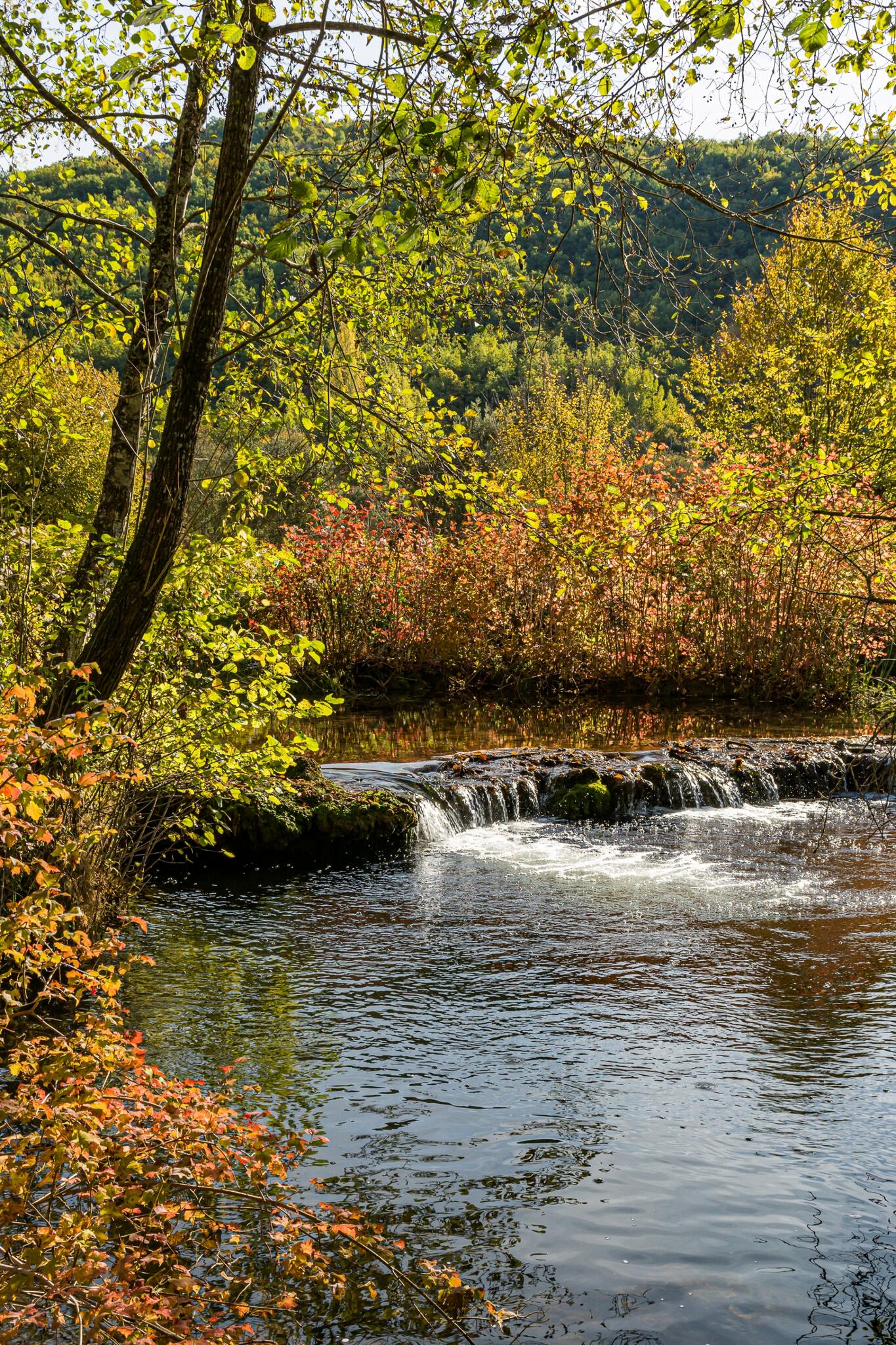 Le long du Coly [Photo de Mauricette Martin]