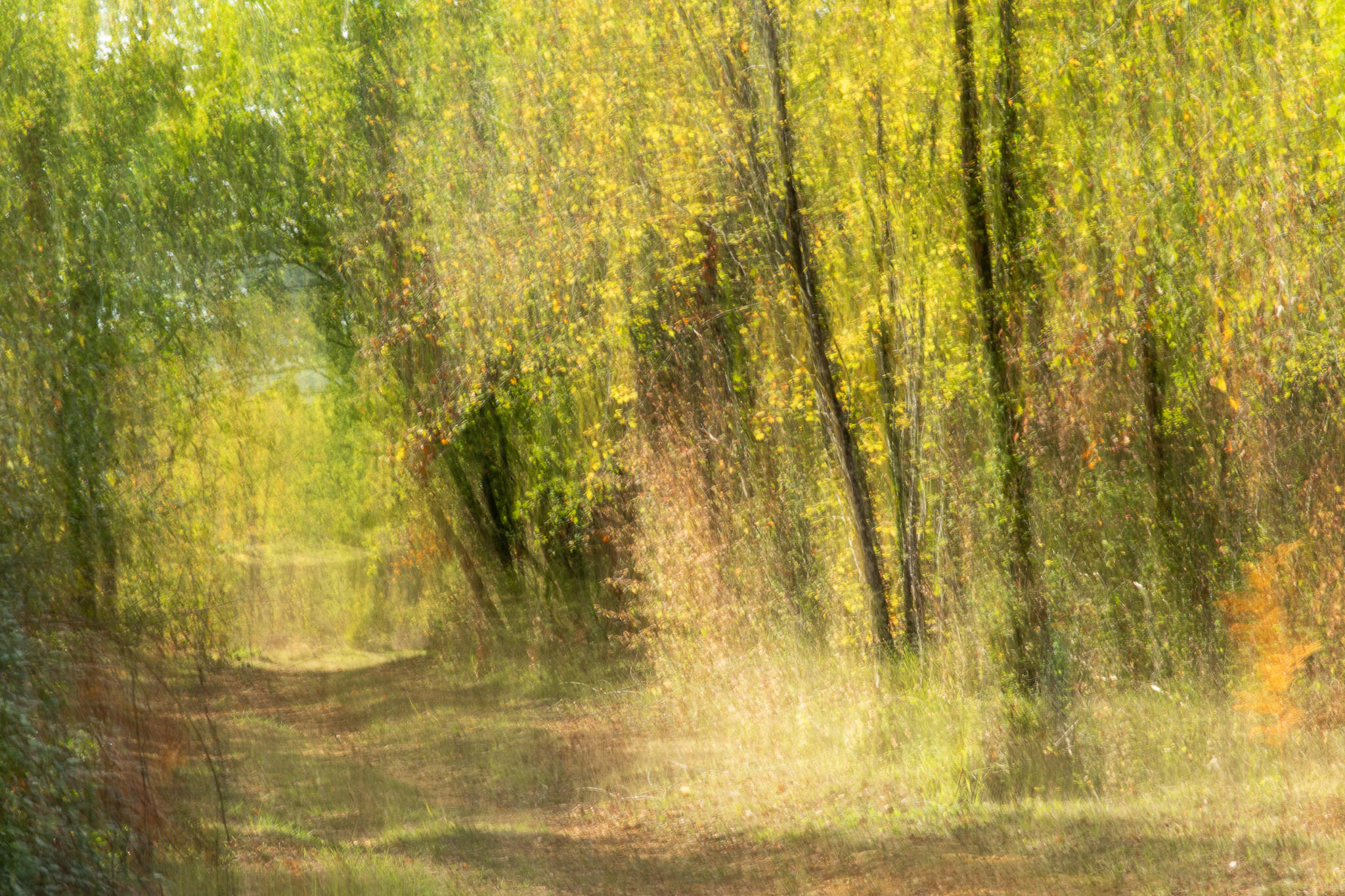 Comme une toile impressionniste [Photo de Mauricette Martin]