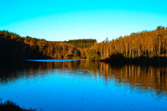 Lac de la Vierre