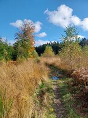 Par une belle journée d'automne