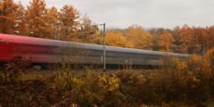 Train d'automne