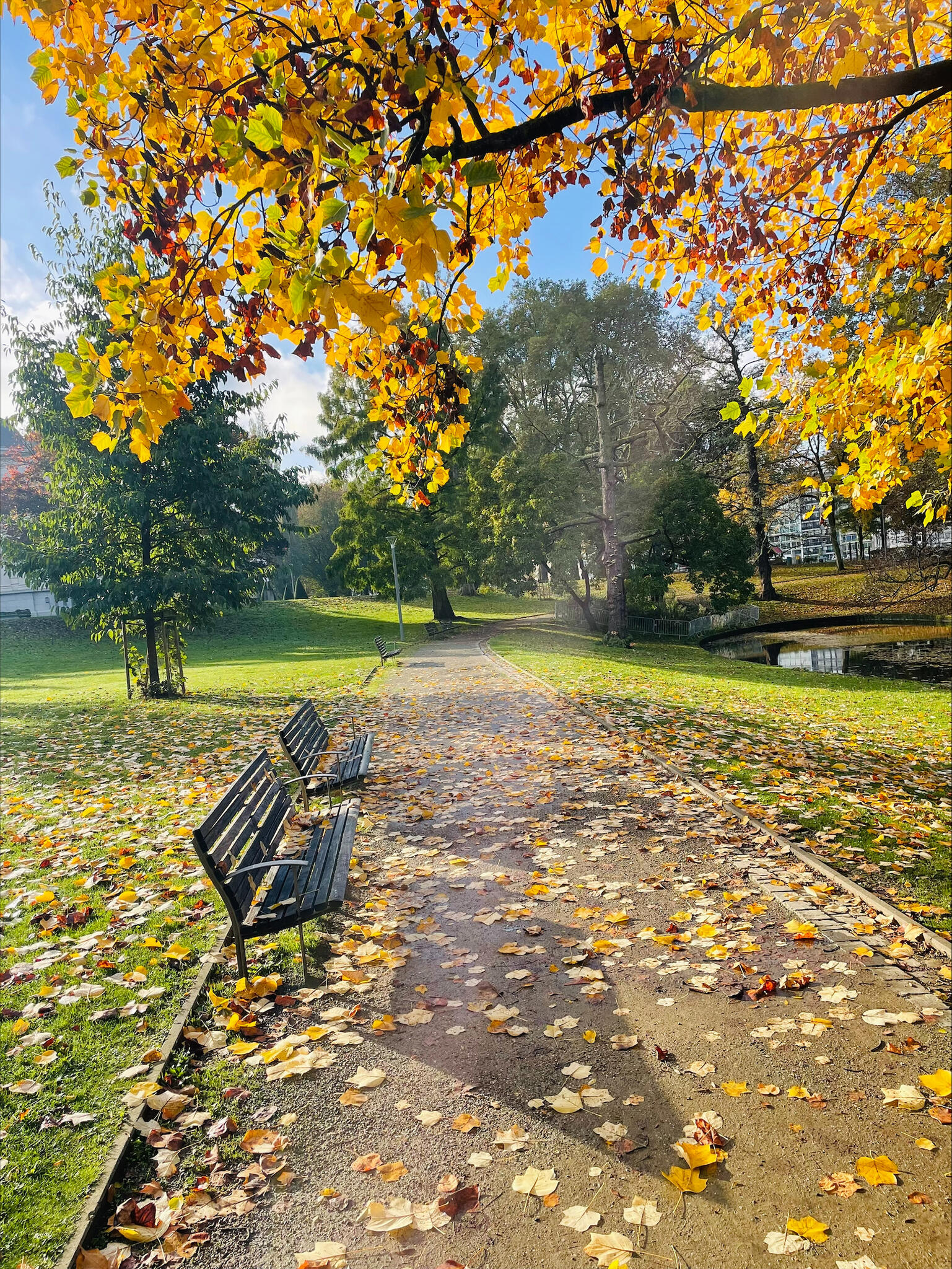 Une lueur d'automne [Photo de Yana Ilieva]