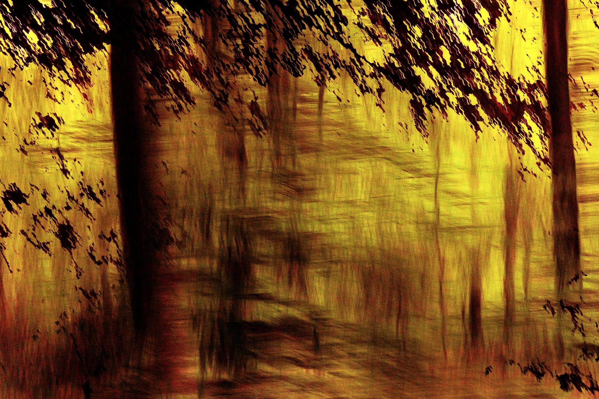 Soleil d’automne [Photo de Patrick de Lannoy]