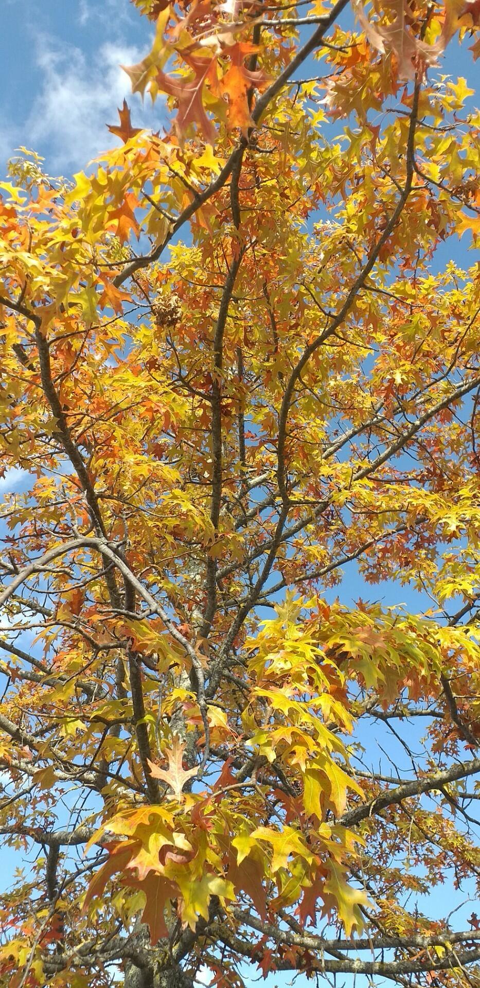 Sans titre [Photo de Lucie Del Mazo]