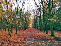 Une journée d'automne aux Pays-Bas