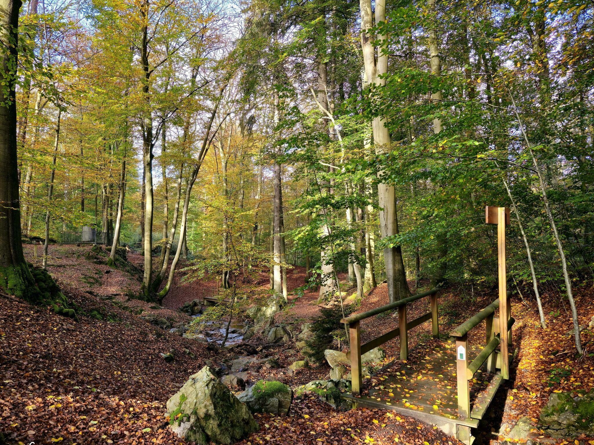 Promenade Orléans- SPA [Photo de Geneviève Legay]