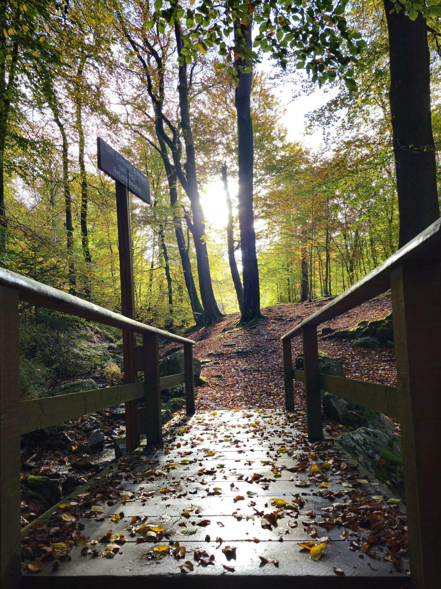 Vers la lumière [Photo de Geneviève Legay]
