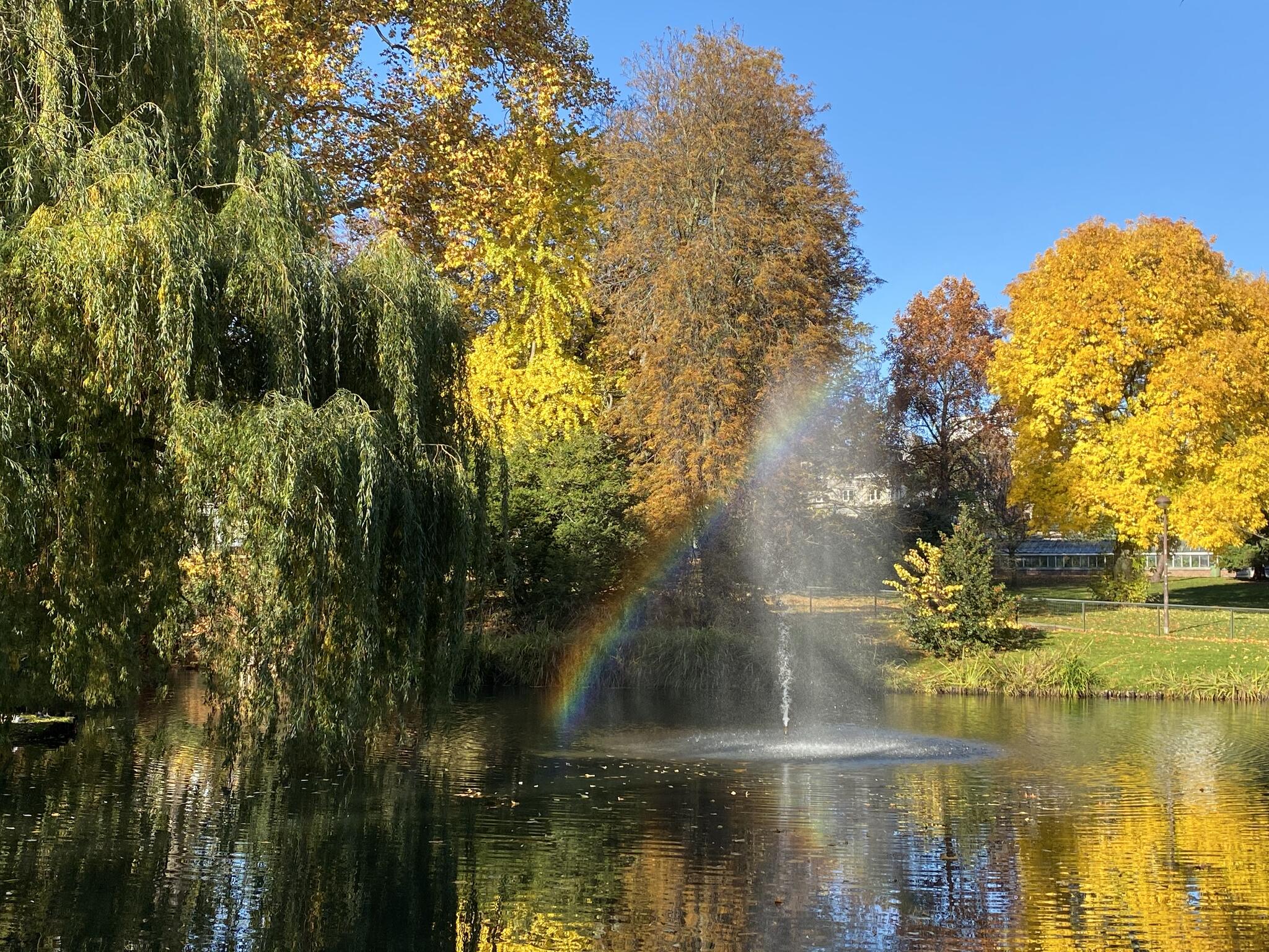 Même l'arc est automnal [Photo de Denise Fontaine]