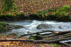 Au milieu de l'Automne coule une rivière