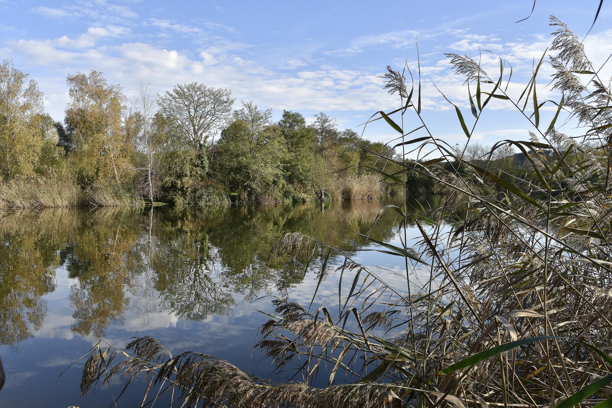 Reflets d'automne dans l'eau [Photo de Liliane Delsemme]