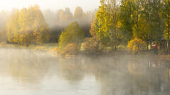 Brume matinale