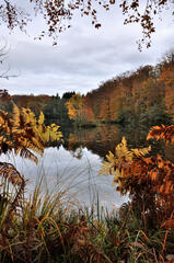 Plateau des 1000 Etangs (Haute-Saône)