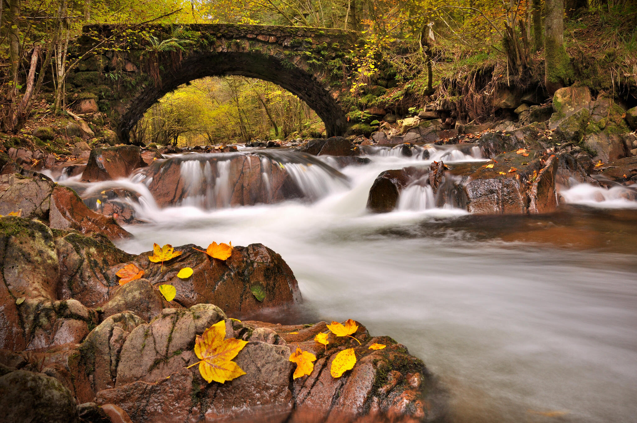 La Doue de l'Eau (Haute-Saône) [Photo de Gilles Arnoud]