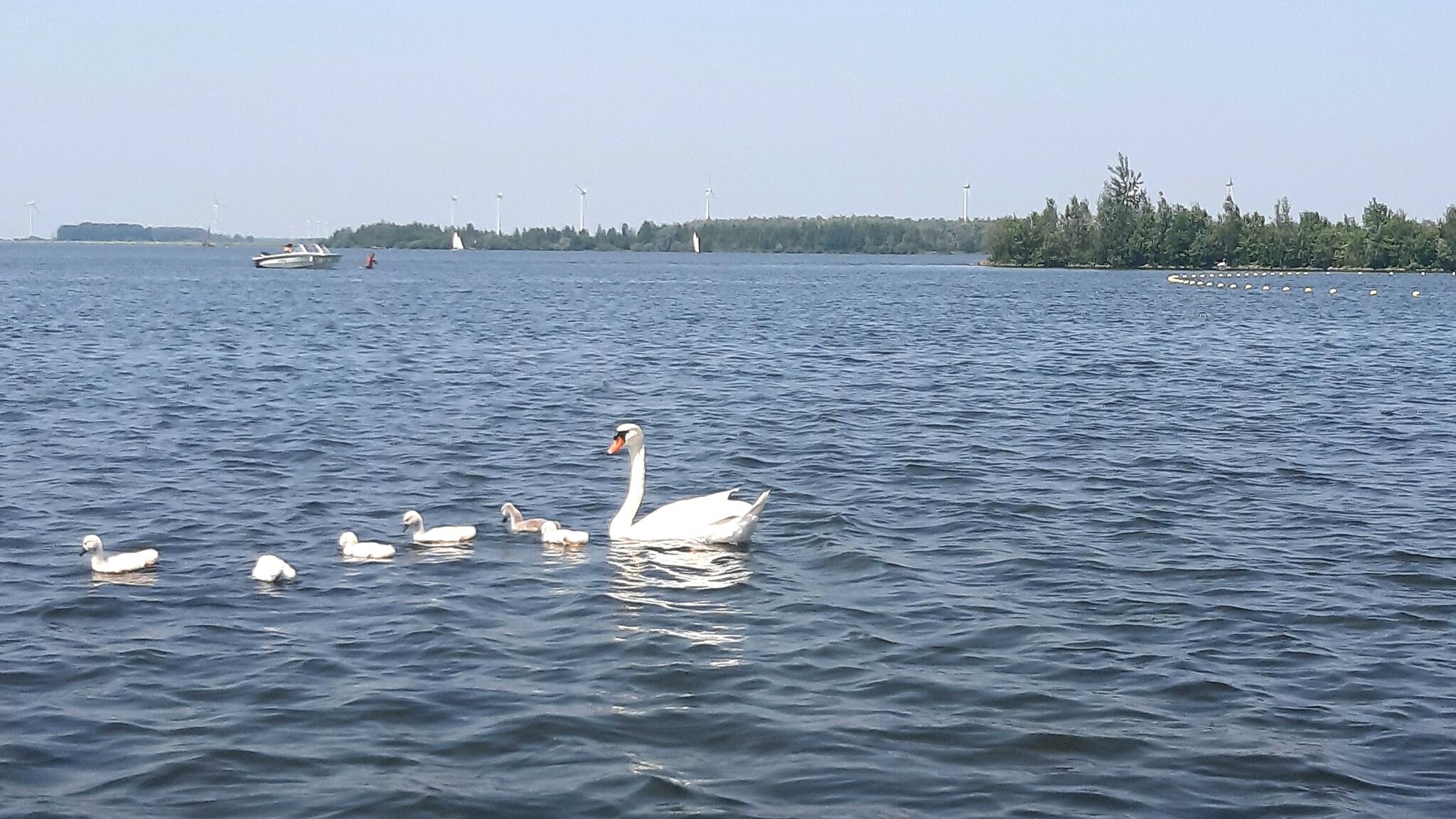 Balade en famille. [Photo de Geneviève Legay]