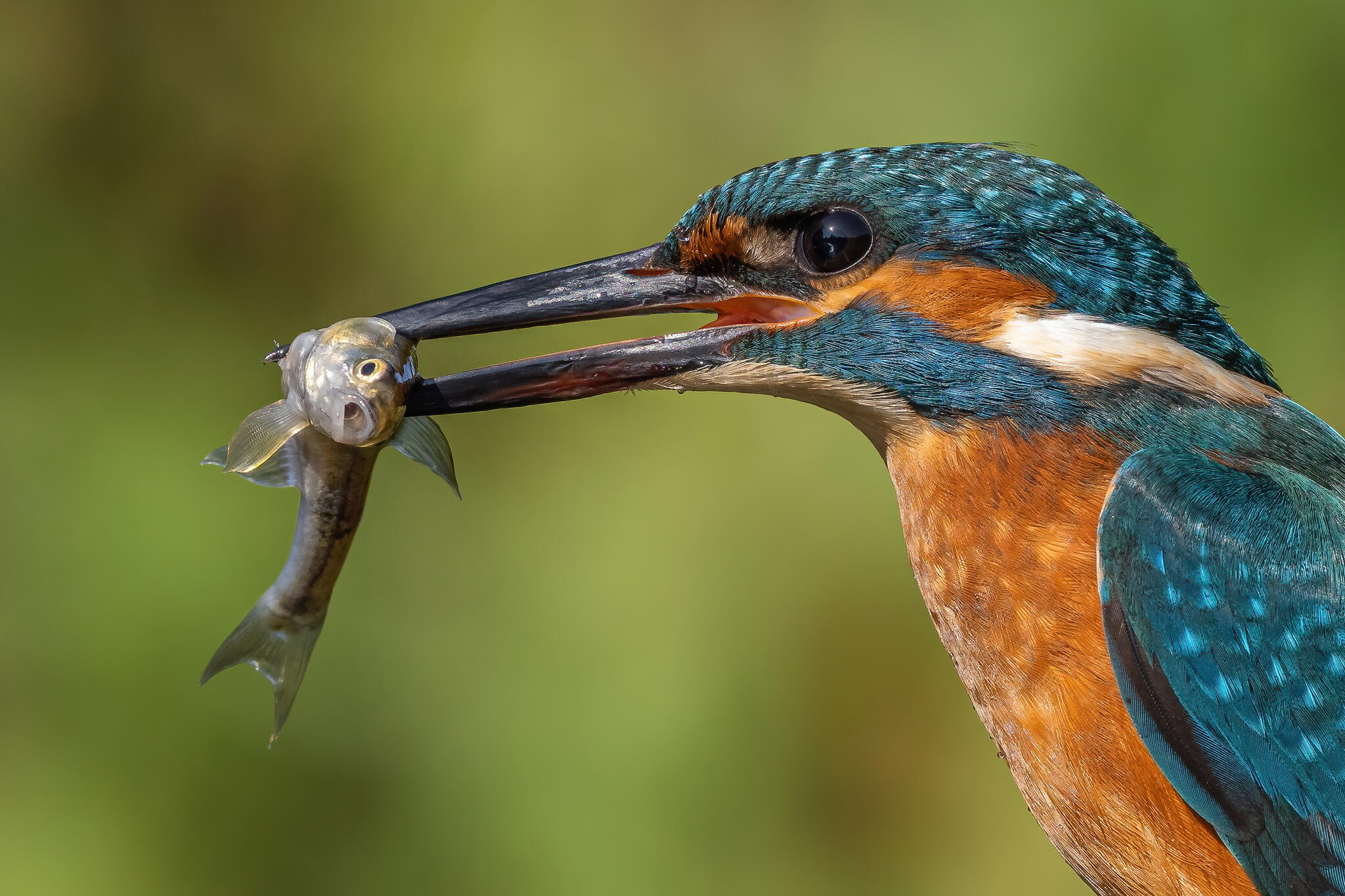 Les yeux dans les yeux [Photo de Jean-Philippe Boulle]