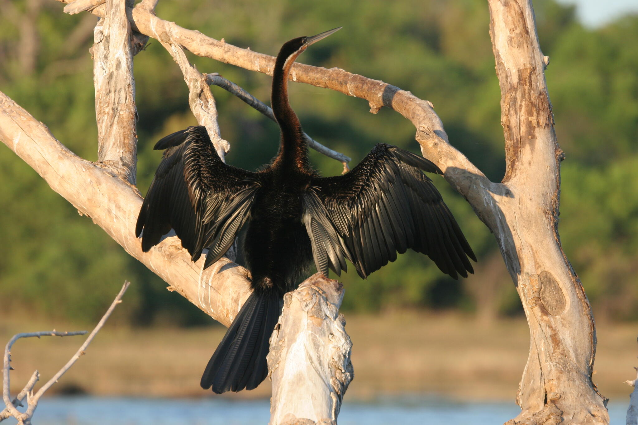 Botswana [Photo de Sophie Thiry]