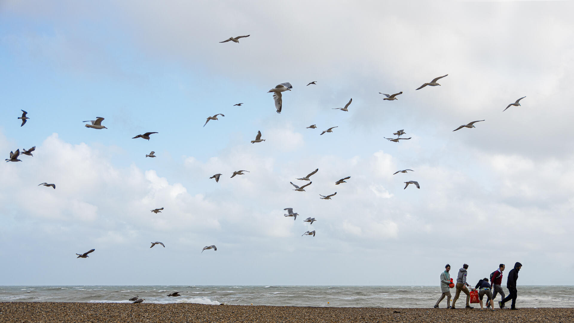 Manger... manger [Photo de Alain Leonard]