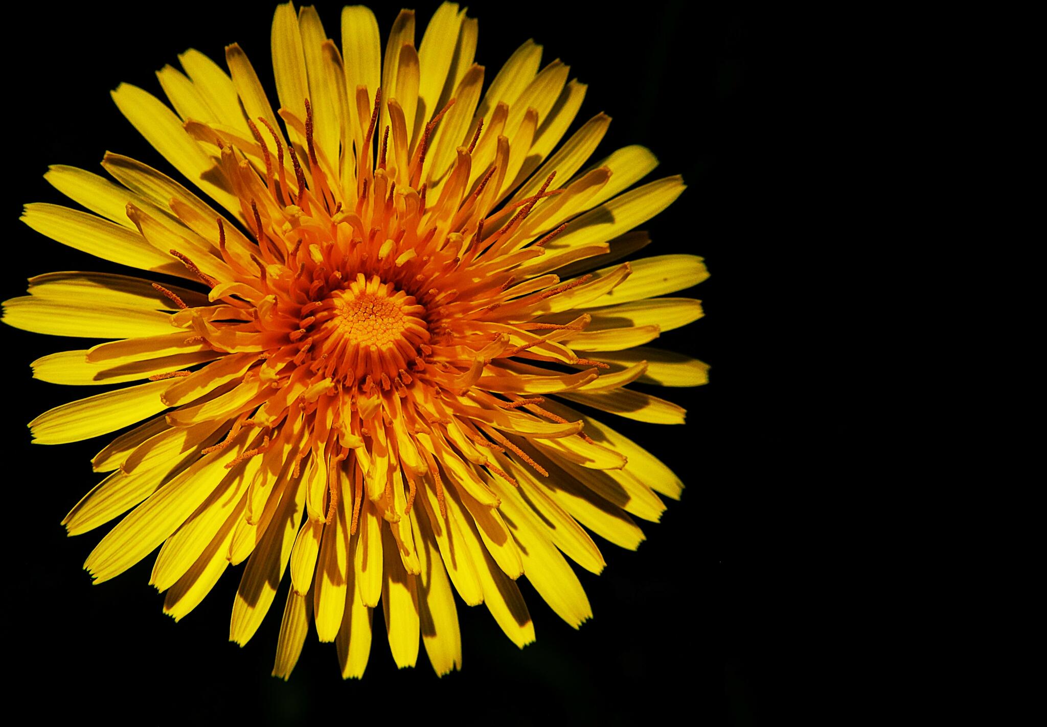 Sans titre [Photo de Caroline Dony]