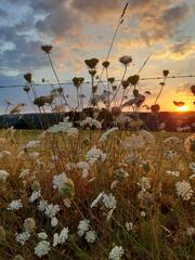 Coucher de soleil