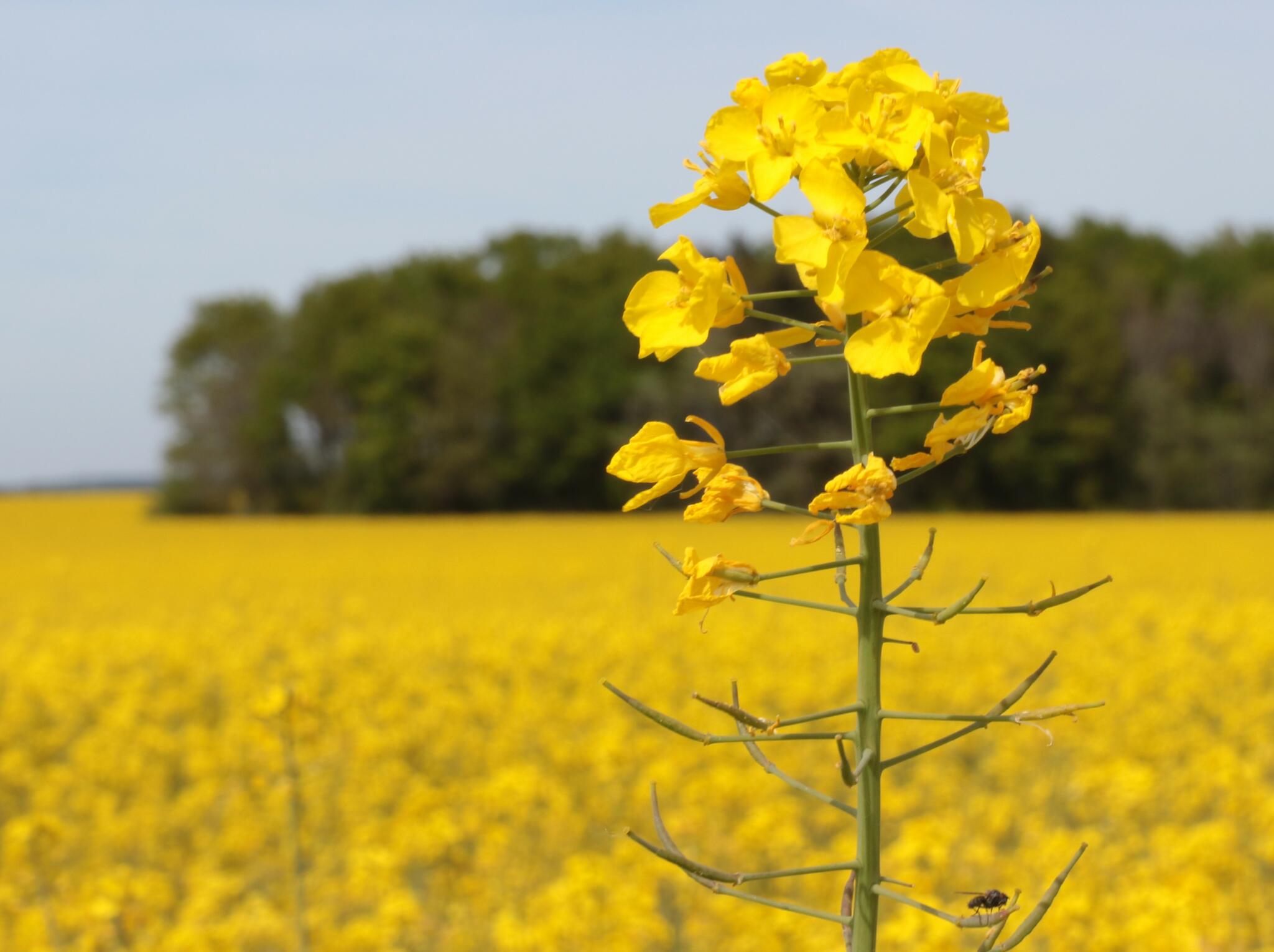 Sortir du cadre [Photo de Daniele Deleglise]