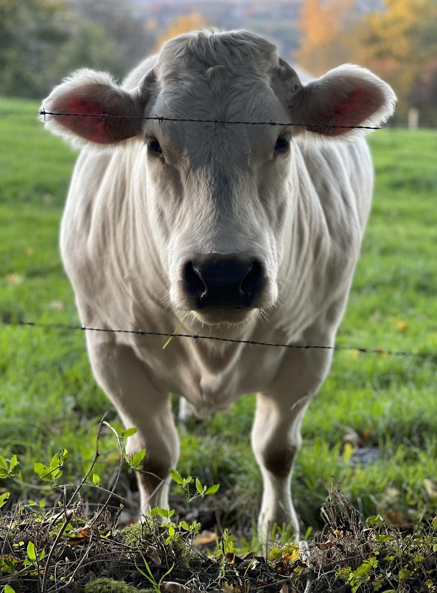 ...et je fais ce que je veux ! [Photo de Sophie Thiry]