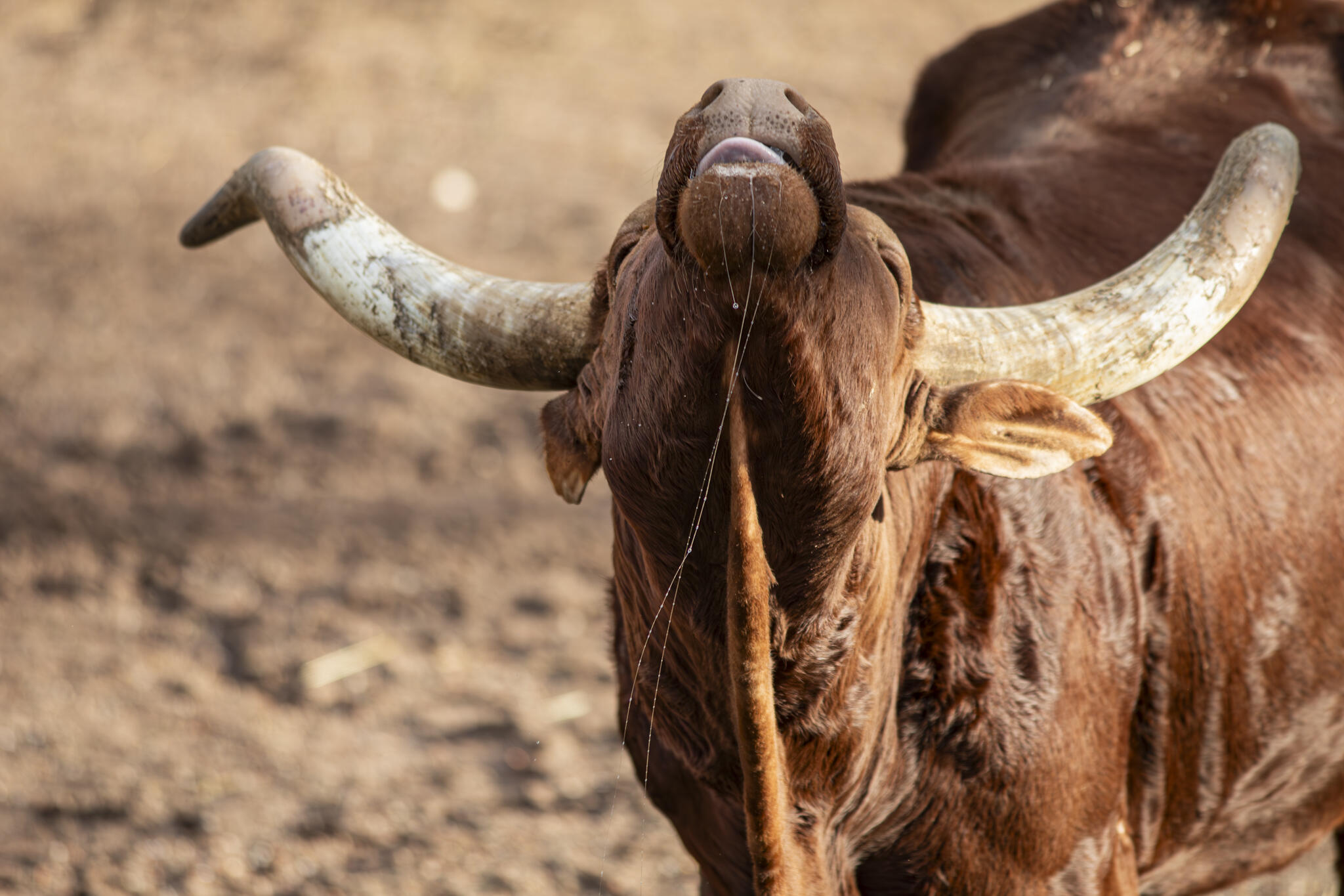 Rien que de l'eau [Photo de Arwen François]