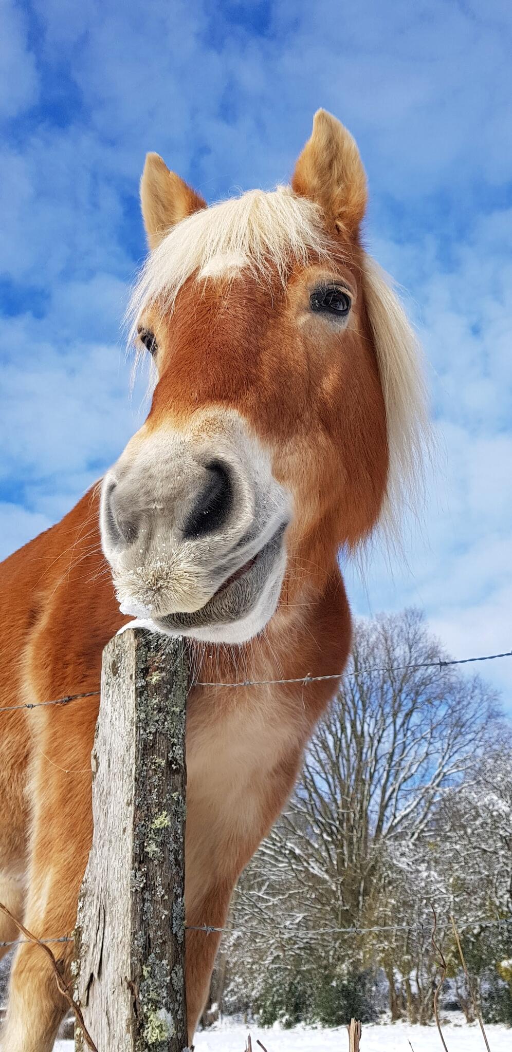 Joli sourire [Photo de Suzy Louvieaux]