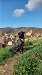 Nora en Alsace