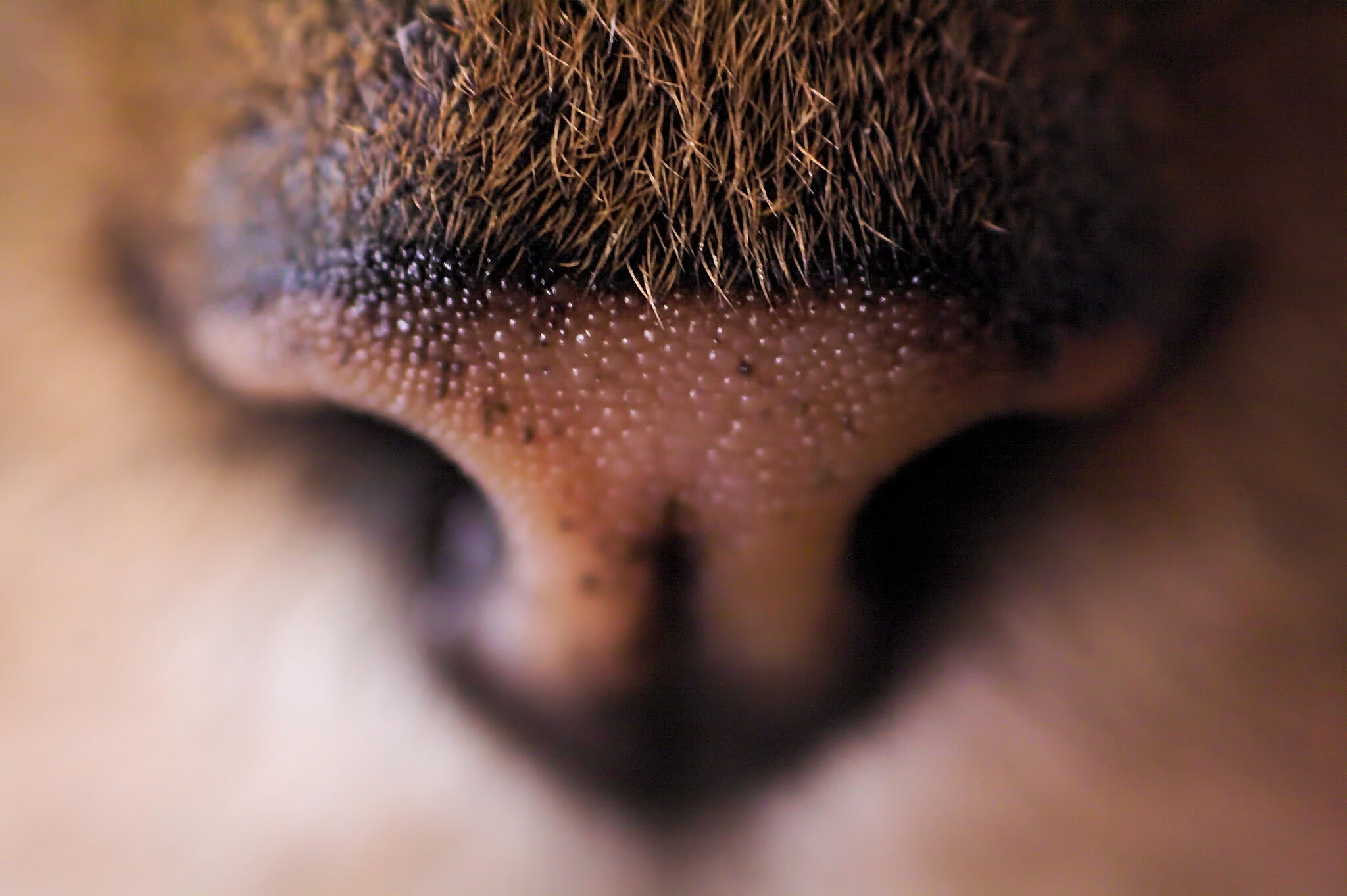 Pas si près ! [Photo de Mathieu Piette]