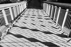 Ombres géométriques