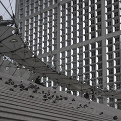 Lumières révélatrices