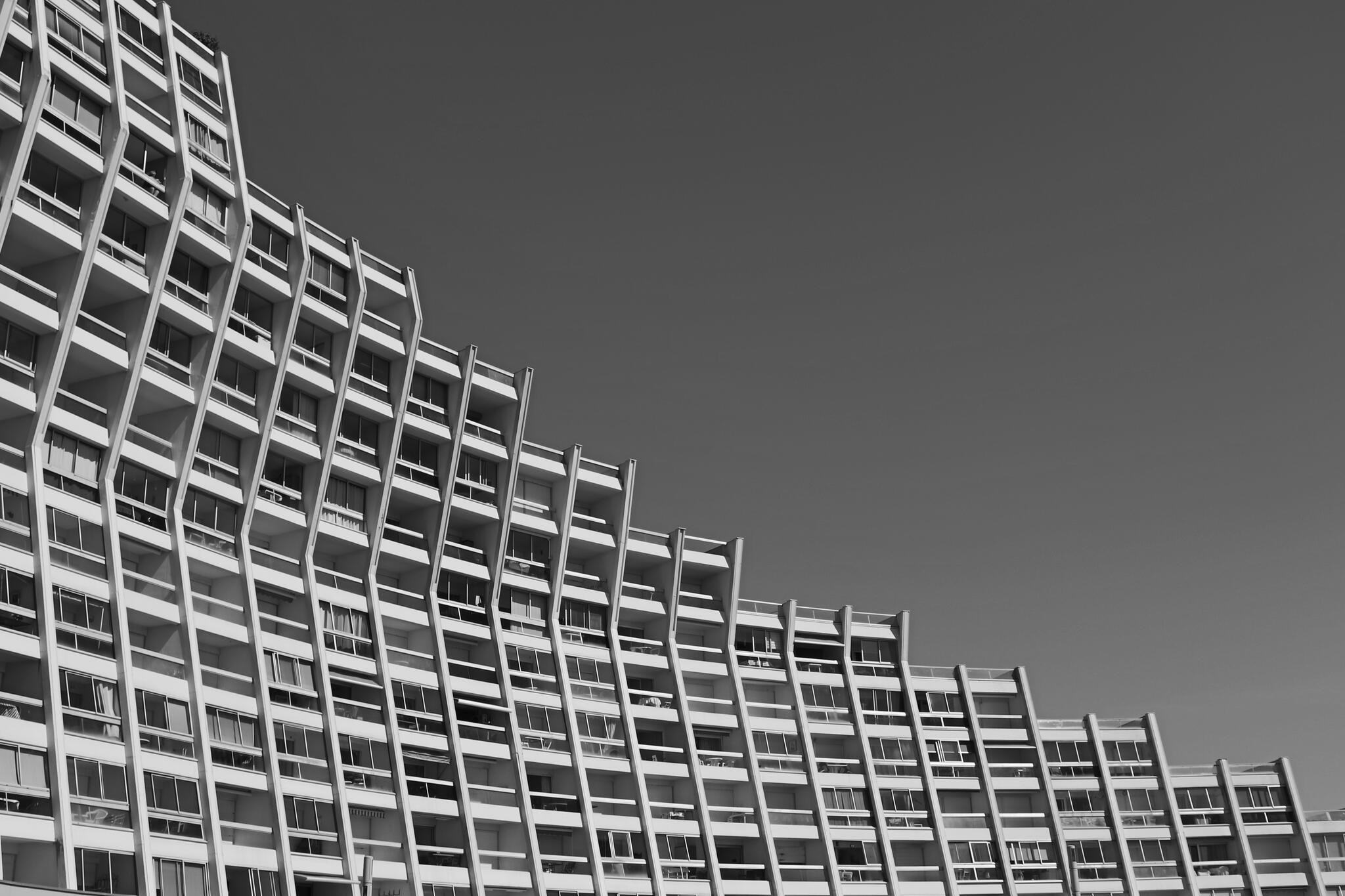 Entassement de cellules [Photo de Bernadette Chevalier]