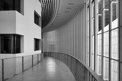 Courbe de silence entre ombre et lumière