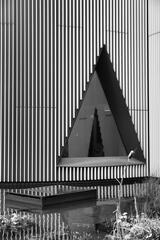 La faille géométrique où respire la lumière