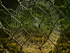 Piège géométrique