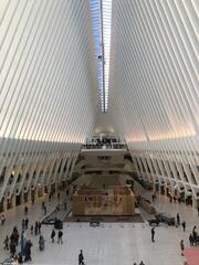 Calatrava New-York