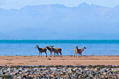 Couches horizontales