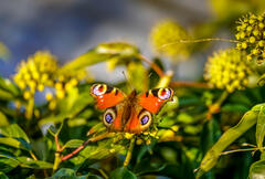Que la nature est belle !
