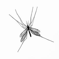 Hommage à Marcel Lefrancq (1916-1974)