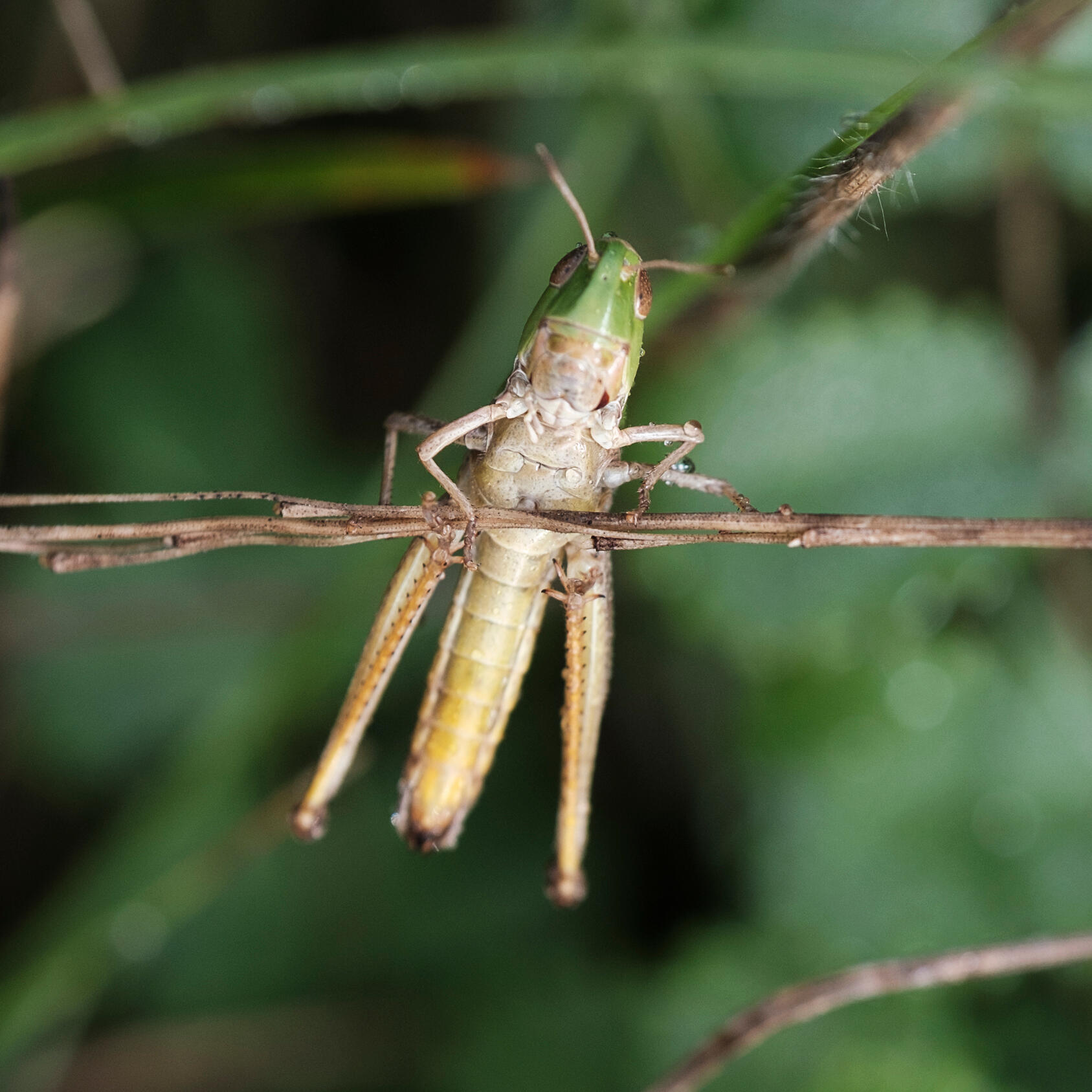 Equilibre [Photo de Patrick Mac Kay]