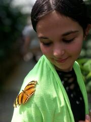 Un papillon sur l’épaule.