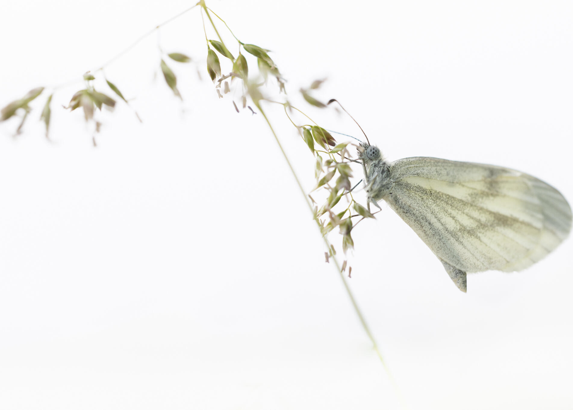 Arrondir les angles [Photo de Arwen François]