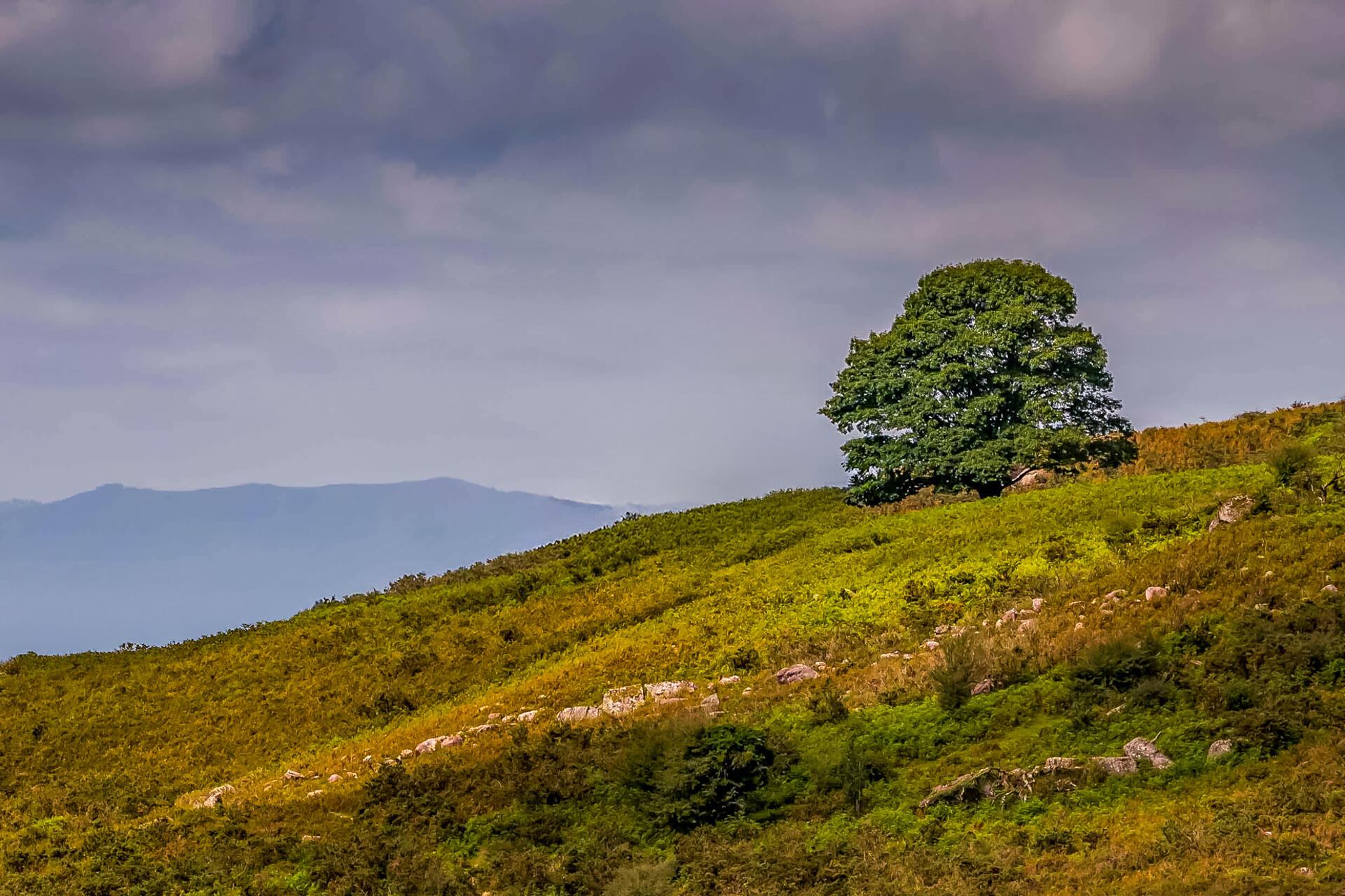 Seul sur la montagne basque