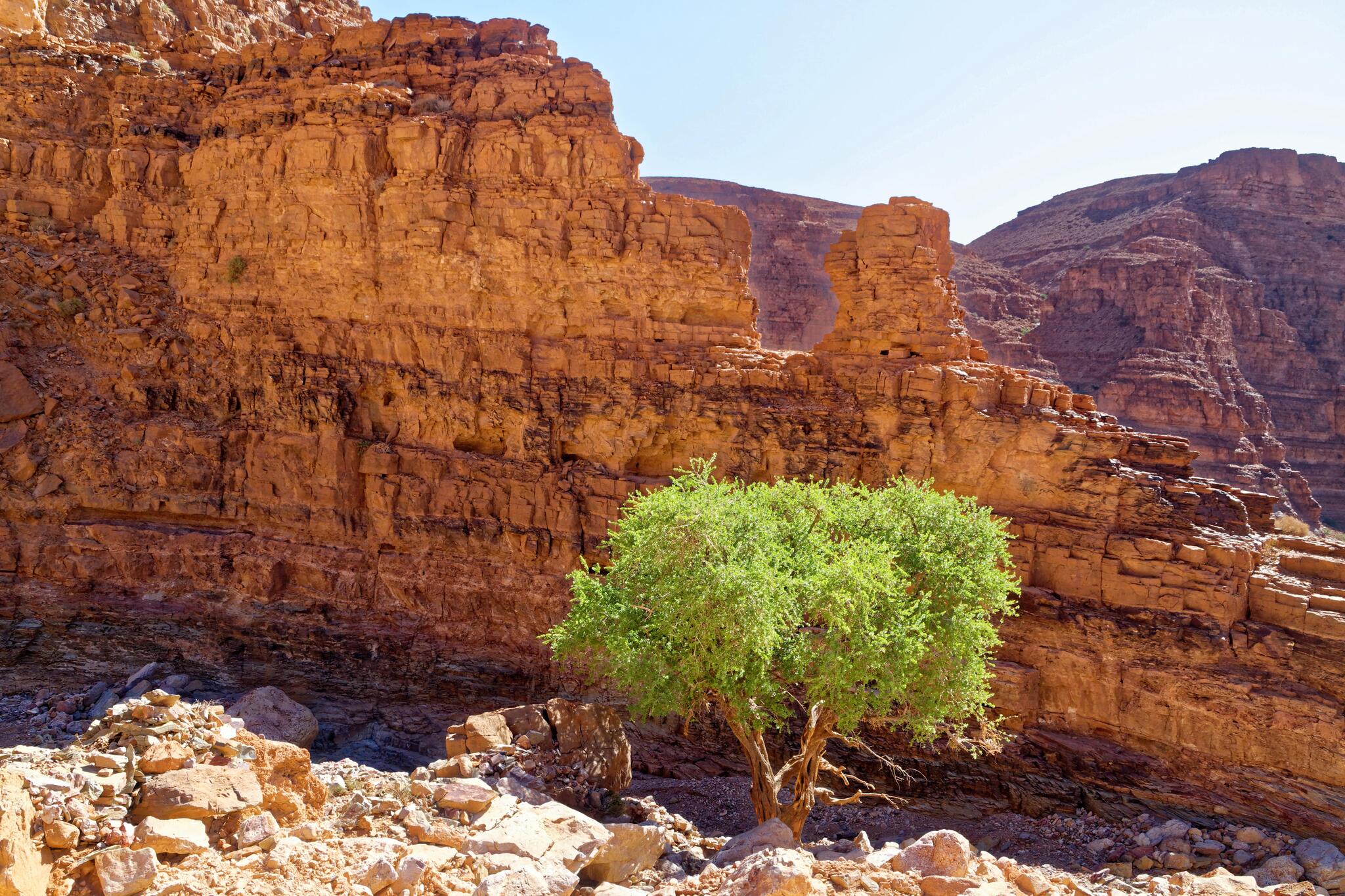 Seul dans le canyon d'Aoukerda, Maroc